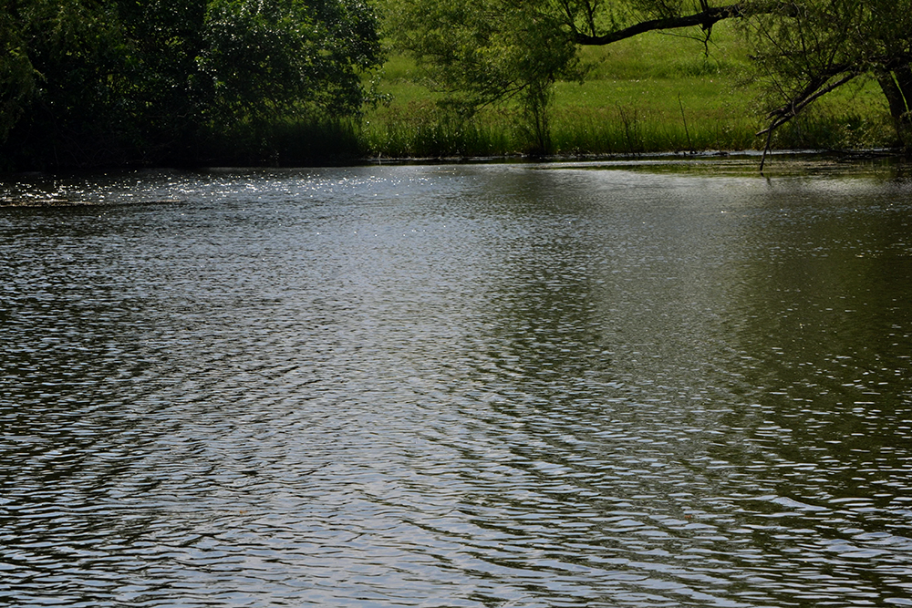 The Pond at Park Hill Prairie