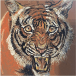 Tiger pastel on paper