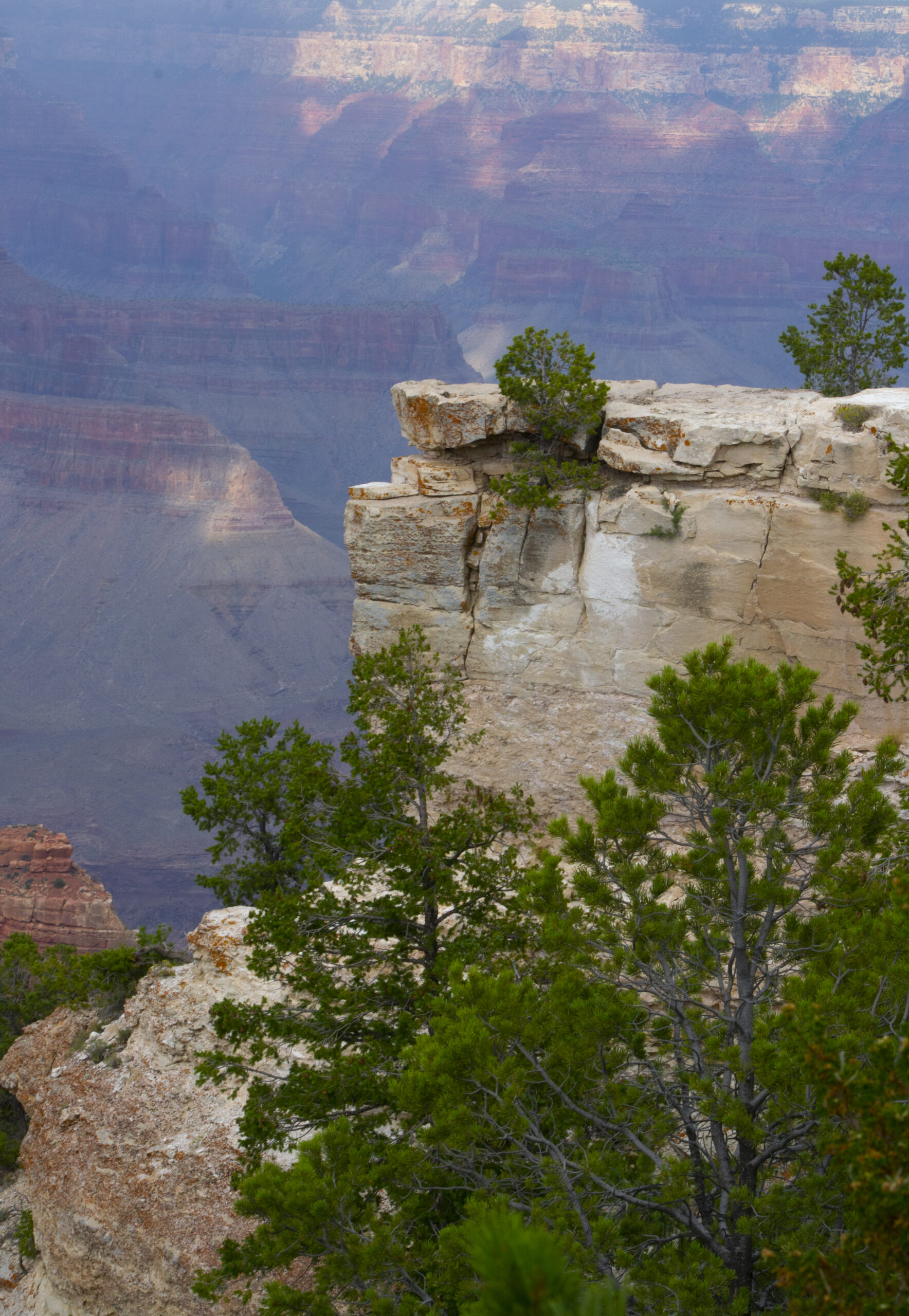 Grand Canyon poetry-collections